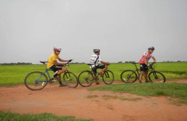 Rice Fields bike tour